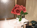 plofile page-animation1